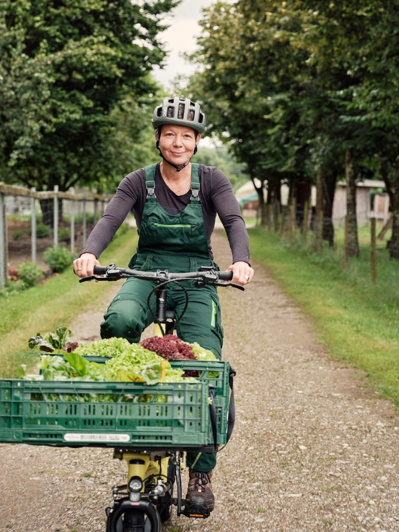 Gärtnerin mit Salat auf dem Frontloader fährt durch Allee auf Kamera zu Gärtnerin mit Salat auf dem Frontloader fährt durch Allee auf Kamera zu